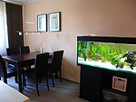 Ein Gesellschaftsaqaurium ziert das Esszimmer